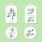 Sandalwood tree branch Tags and Labels