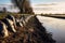 sandbags placed along broken levee edge