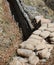 sandbags to protect the trench dug in the ground by soldiers dur