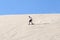 Sandboarding in Atacama desert