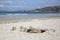 Sandcastle, Carmota Beach; Coruna; Galicia