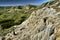 Sandcastle Lake Diefenbaker