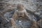 Sandcastle surrounded by rocks on the beach. Building made of sand. Children entertainment making sandcastles. Relaxing time. Kids