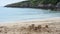 Sandcastles on the beach, gentle waves lapping in a rugged rocky cove