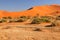 Sanddunes Namibia