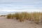 Sanddunes at Warnemuende Rostock beach