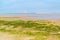 Sandflat landscape of nature reserve near Maasvlakte and Rotterd