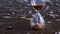 Sandglass clock with golden grains stands on wet beach