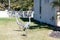 Sandhill crane couple