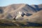 Sandhill crane flying in front of mountain