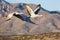 Sandhill Cranes in Flight