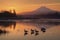 Sandhill cranes at sunset in a lake