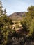 Sandia Mountain Portrait