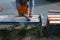 Sanding wood, cleaning paint of an old bench.