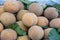 Sandoricum koetjape santol or cottonfruit is a tropical fruit grown in Southeast Asia