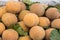 Sandoricum koetjape santol or cottonfruit is a tropical fruit grown in Southeast Asia