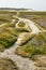 Sandpath through salt tolerant vegetation