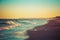 Sandpiper in Evening Light on a Beach