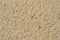 Sands texture background