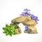 Sandstone with anemones with green algae for aquarium decoration or as a separate element