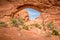 Sandstone arches and natural structures