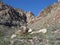 Sandstone Bluffs in Red Rock Canyon, Nevada.