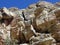 Sandstone Bluffs in Red Rock Canyon, Nevada.