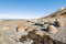 Sandstone boulders at the Ward Beach in Marlborough, New Zealand