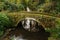 Sandstone Bridge in Jesmond Dene