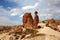 Sandstone camel rock, Devrent Valley, Turkey, Anatolia, Cappadocia