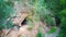 Sandstone Caves in Ligatne, Latvia. View to Cave Rock Lustuzis LustÅ«zis on the Bank of Ligatne River.