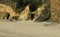 Sandstone Caves on Oregon Coast Beach