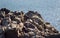 A sandstone cliff by the sea with shimmering ocean in the background