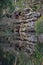 Sandstone cliffs along Port Hacking River, Sydney