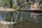 Sandstone cliffs on the bank of a forest river with a perfect reflection in the water and green conifers on the bank