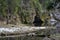 Sandstone cliffs on the bank of a forest river with a perfect reflection in the water and green conifers on the bank