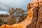 Sandstone eroding cliffs and gum trees.