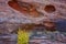 Sandstone Erosion in Colorado National Monument