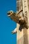 Sandstone gargoyle on the facade of the Gothic Magdeburg Cathedral in Germany