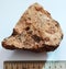 Sandstone geological sample