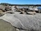 Sandstone mineralogy on Hornby island