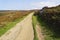 Sandstone path leads up across Burbage Moor on an autumn morning