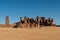 Sandstone pinnacles in the Sahara desert, blue sky, Chad, Africa..