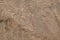 Sandstone rock background rough abstract grunge textured surface pattern natural breed monolith.