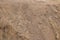 Sandstone rock background rough abstract grunge textured surface pattern natural breed monolith.