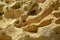 Sandstone rock formations on the Cantabrian coastline. Mount Jaizkibel, Basque Country, Spain