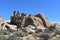 Sandstone Rock Formations in the Mojave Desert