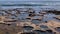 Sandstone rock formations and pothole tidepools at Botanical Beach at Juan De Fuca Provincial Park, near Port Renfrew