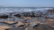 Sandstone rock formations and pothole tidepools at Botanical Beach at Juan De Fuca Provincial Park, near Port Renfrew