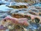 Sandstone Rock Pools, Bondi Beach, Australia